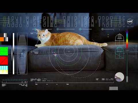 Revolutionäre Raumkommunikation: Katzenvideo aus 18,6 Millionen Meilen Entfernung!