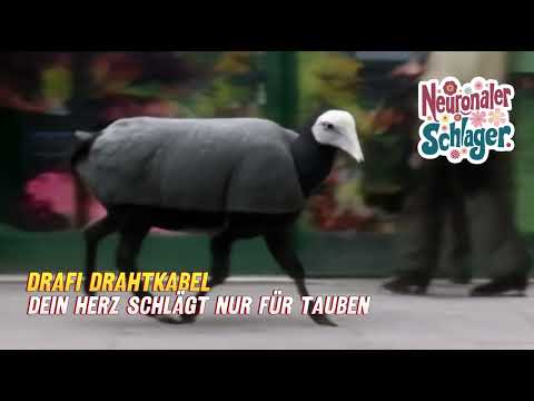 [Neuronaler Schlager #50] Drafi Drahtkabel | Dein Herz schlägt nur für Tauben | #aimusic #schlager #pop