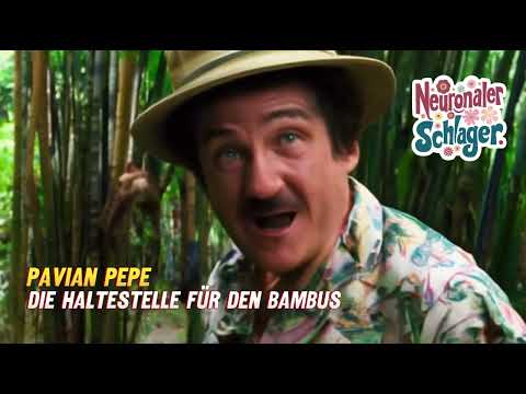 [Neuronaler Schlager #52] Pavian Pepe | Die Haltestelle für den Bambus | #aimusic #partyschlager #partymusik