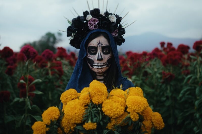 Review | Niklas Paschburg | Mexican Alps [Nettwerk]