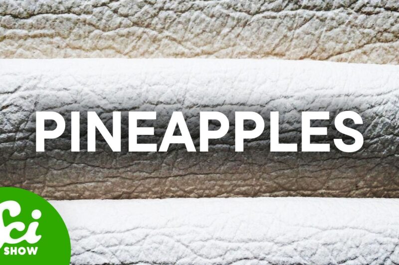 🌿 The Future of Textiles Is Grown, Not Manufactured